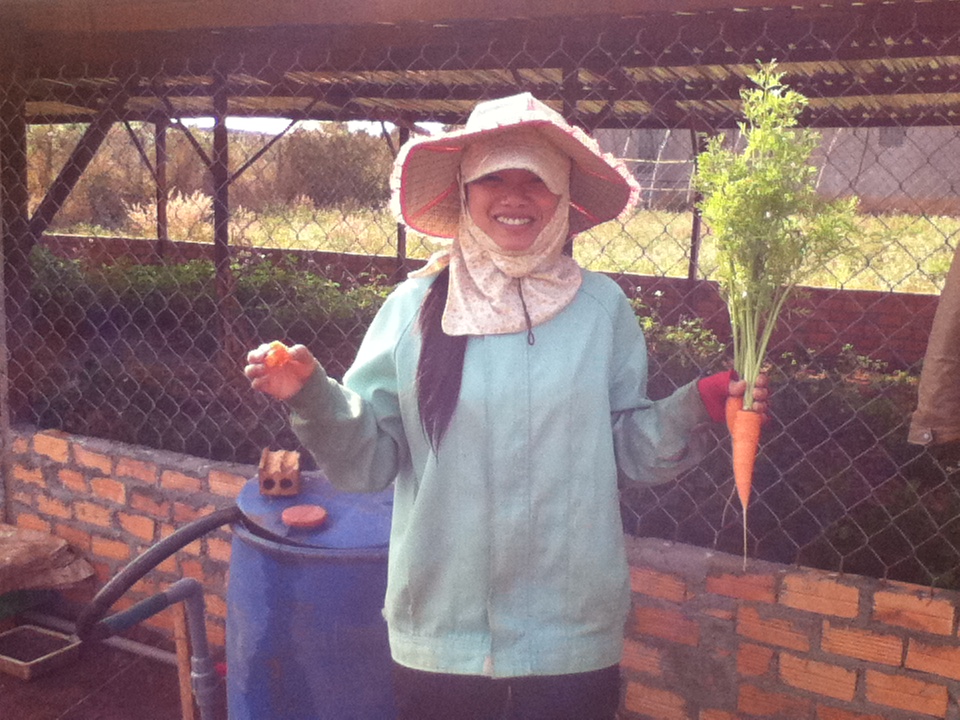 nông trại rau sạch, rau hữu cơ không hóa chất, thực phẩm an toàn không biến đổi gen, rau cười việt nhật, ăn sạch sống khỏe