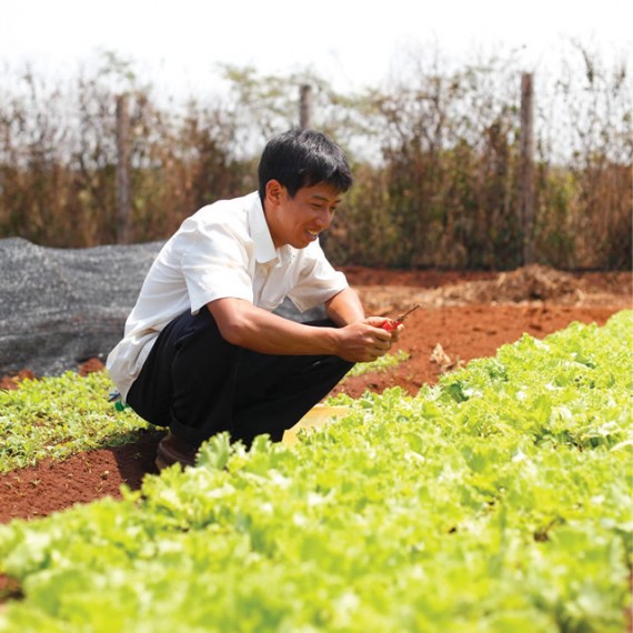 rau sạch hữu cơ không hóa chất nông trại rau sạch, rau hữu cơ không hóa chất, thực phẩm an toàn không biến đổi gen, rau cười việt nhật, ăn sạch sống khỏe