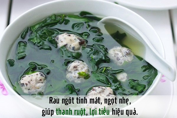 các món rau sạch hữu cơ giải nhiệt mùa hè rau củ quả sạch hữu cơ không hóa chất tiêu chuẩn Nhật