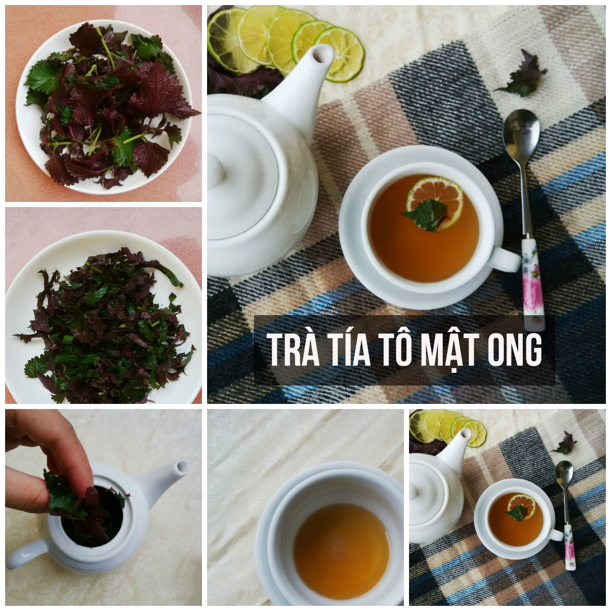 trắng da sạch mụn giải độc hết gout với tía tô trắng da sạch mụn giải độc hết gout với tía tô