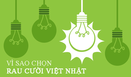 cửa hàng rau củ hữu cơ không hóa chất cửa hàng rau củ hữu cơ không hóa chất